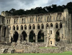 Rievaulx Abbey: Reruntuhan Biara Indah yang Menyimpan Kisah Keemasan dan Kehancuran