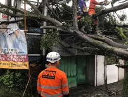 Pohon Tumbang dan Longsor Timpa Sejumlah Rumah di Bogor, 2 Orang Luka