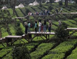 12 Camping Ground Terbaik 2025 di Bogor untuk Liburan Bareng Teman dan Keluarga