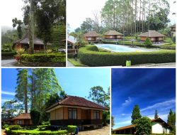 Menginap di Puncak Bogor: Suhu Terdingin Ada di Sini, Bagaimana Sekarang?